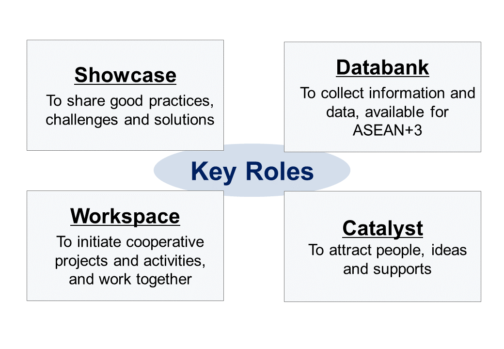 CEFIA-roles-fig